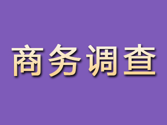 龙马潭商务调查